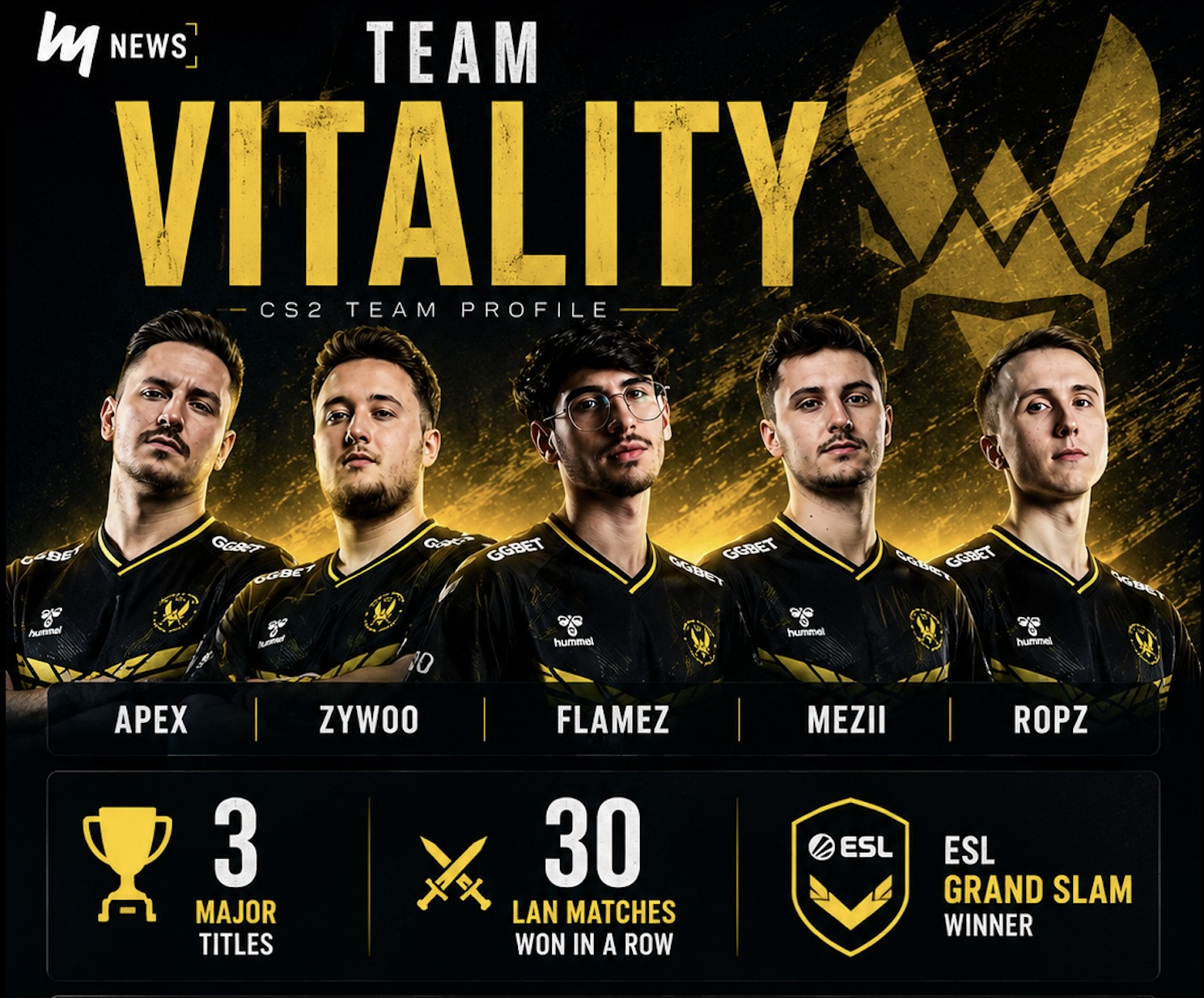 CS2 Vitality: Roster, Players, and Major Wins - news.white.market
